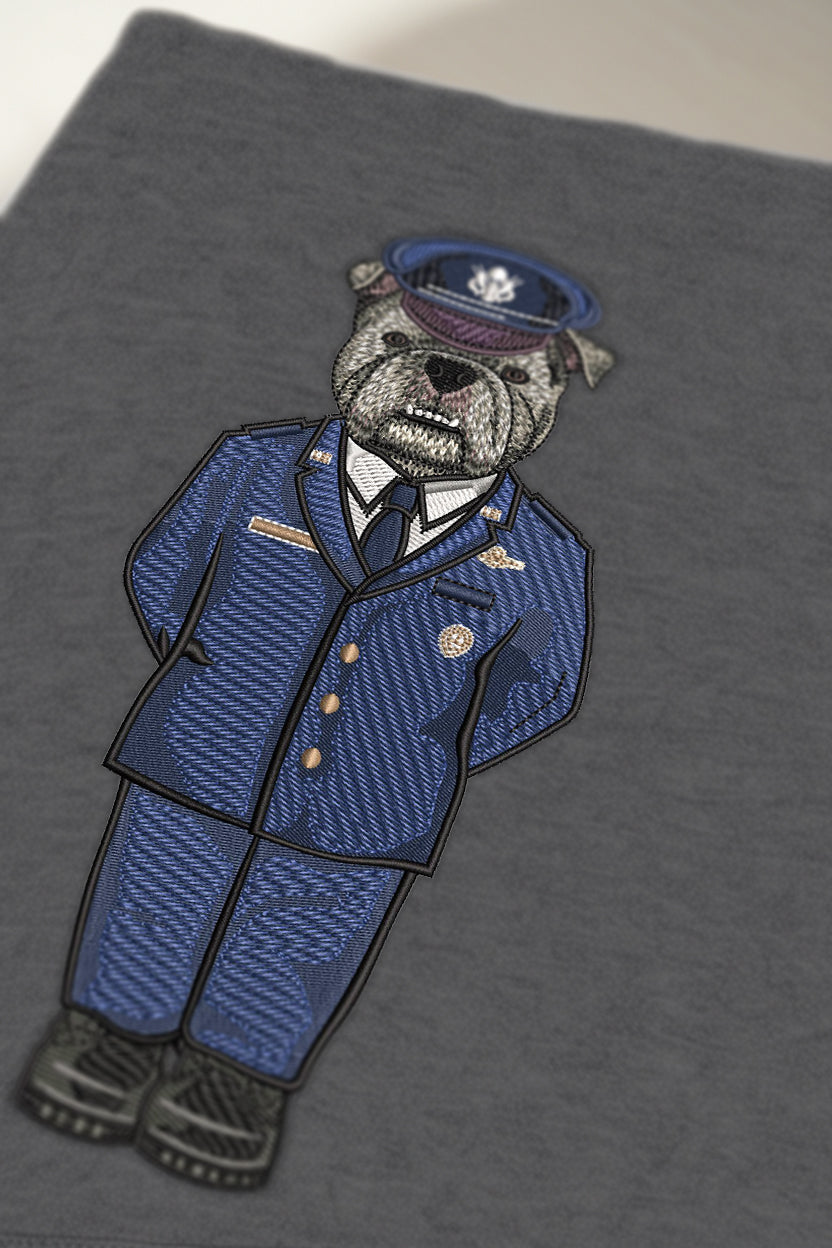 Air Force Service Dress Embroidered Hoodie