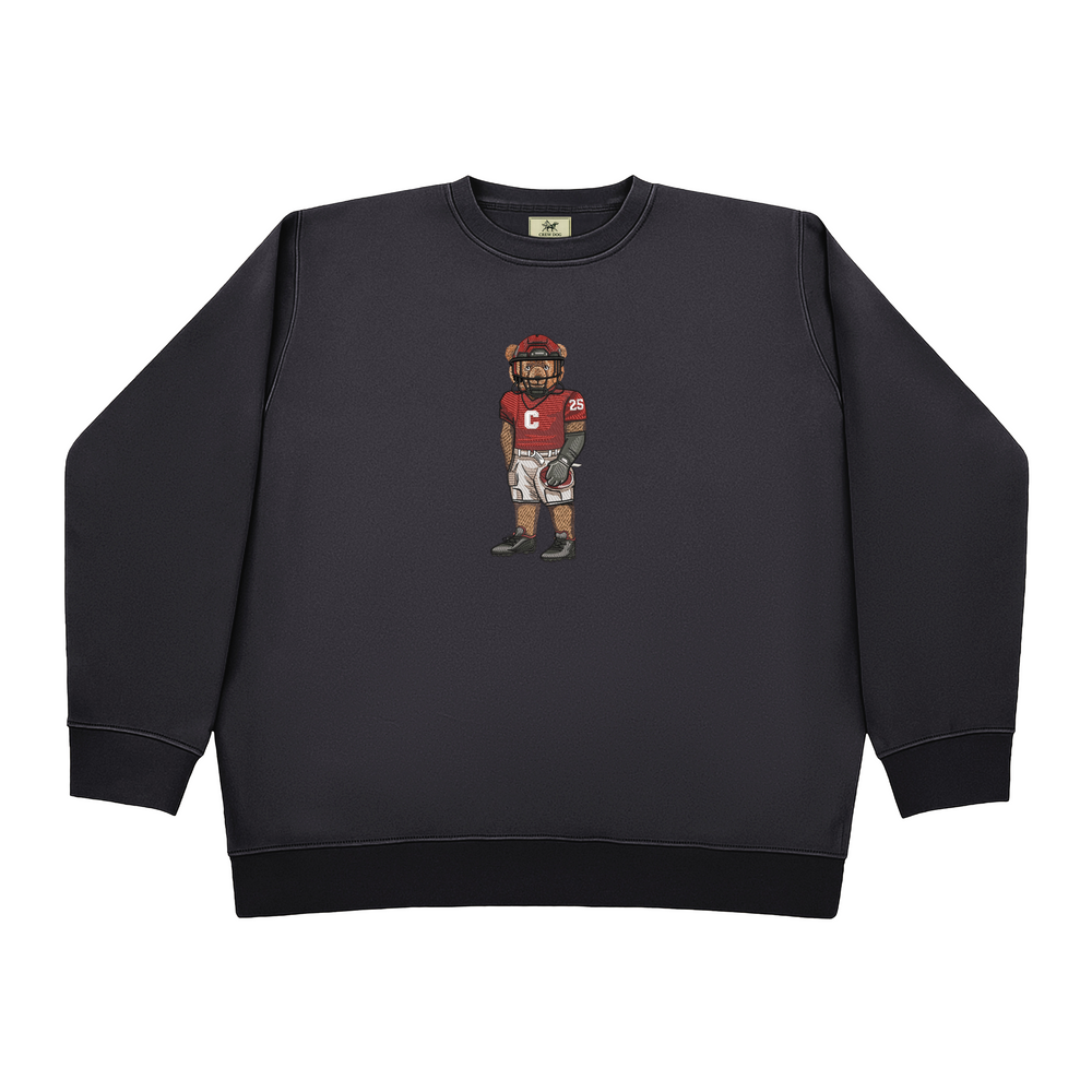 
                      
                        Cornell University Football Embroidered Crewneck
                      
                    