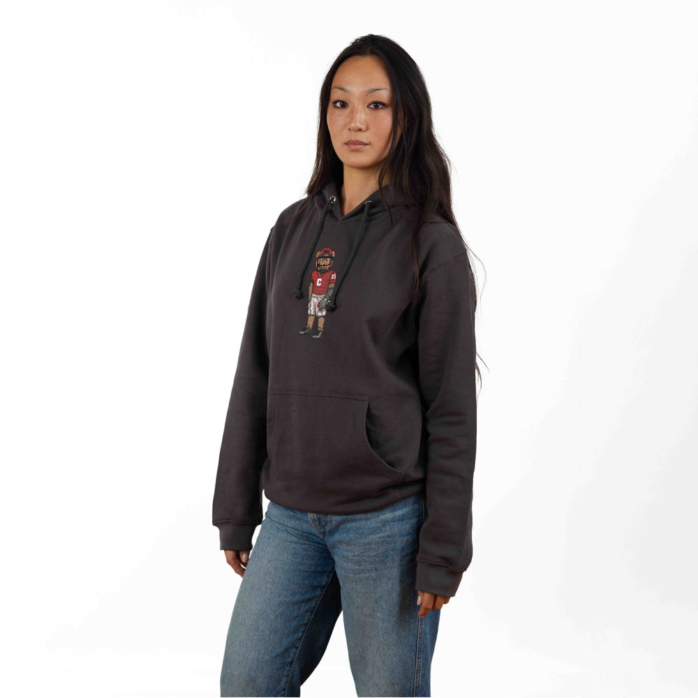 Cornell University Football Embroidered Hoodie