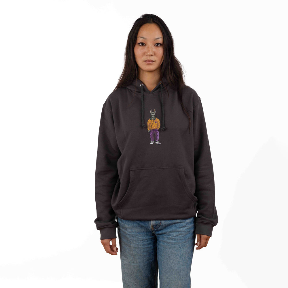 University of Albany Headphones Embroidered Hoodie