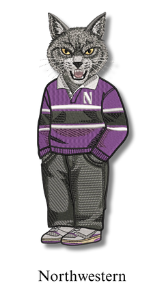 NorthwesternLogoUniverisity b4473f30 e5bb 4da6 8e2e 012a46bd4c16