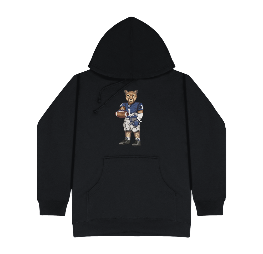 Penn State Football Embroidered Hoodie