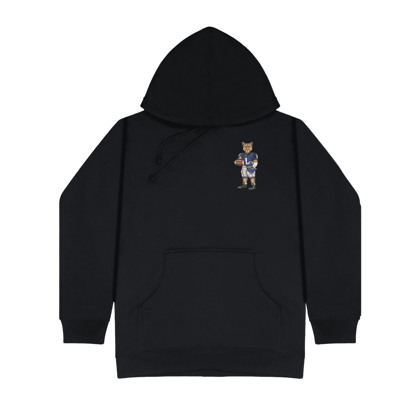 Penn State Football Embroidered Hoodie