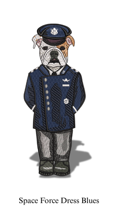 Space Force Dress Blues