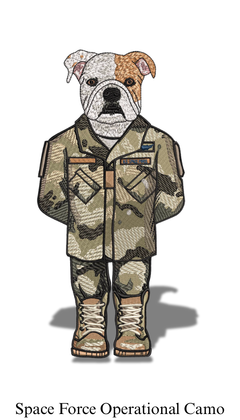 Space Force Operational Camo