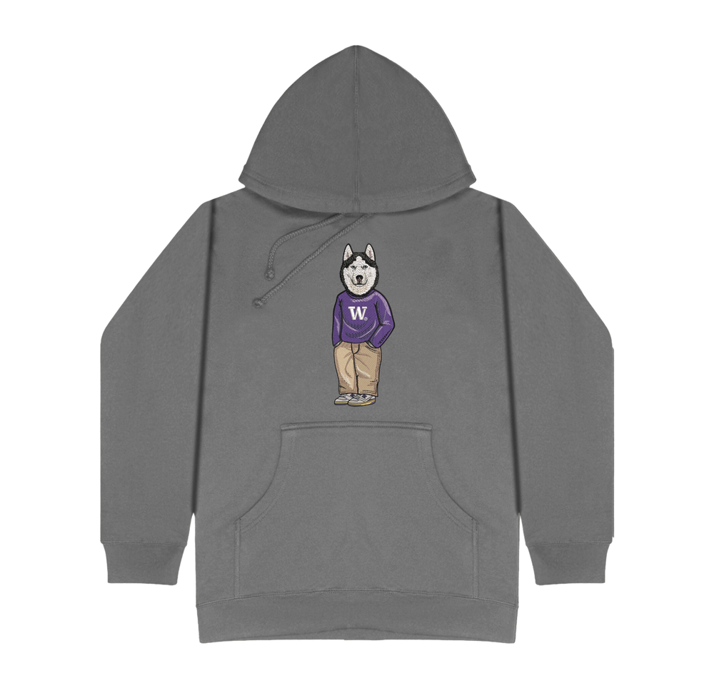 University of Washington Sweater Embroidered Hoodie