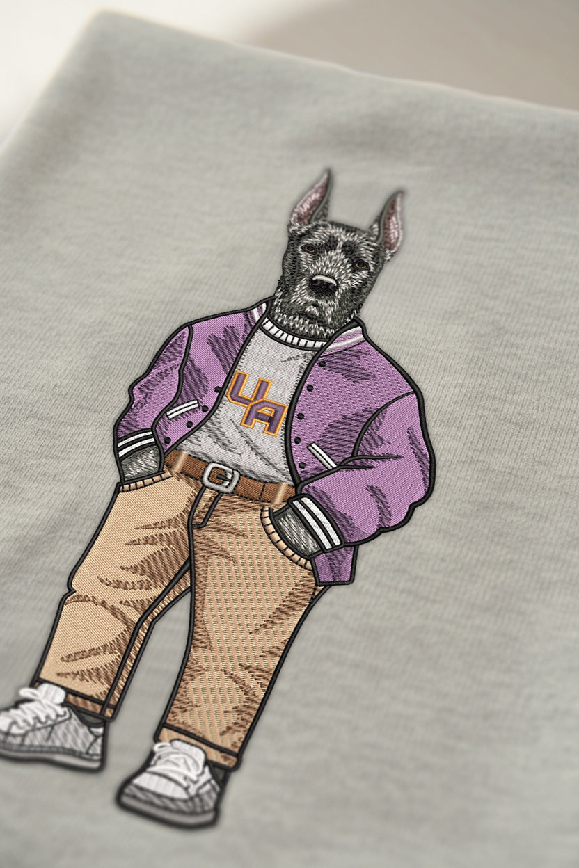 University of Albany Varsity Jacket Embroidered Hoodie