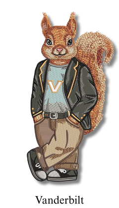 VanderbiltUniversity e1f74400 d278 494a 81a5 48fd17cee0b5