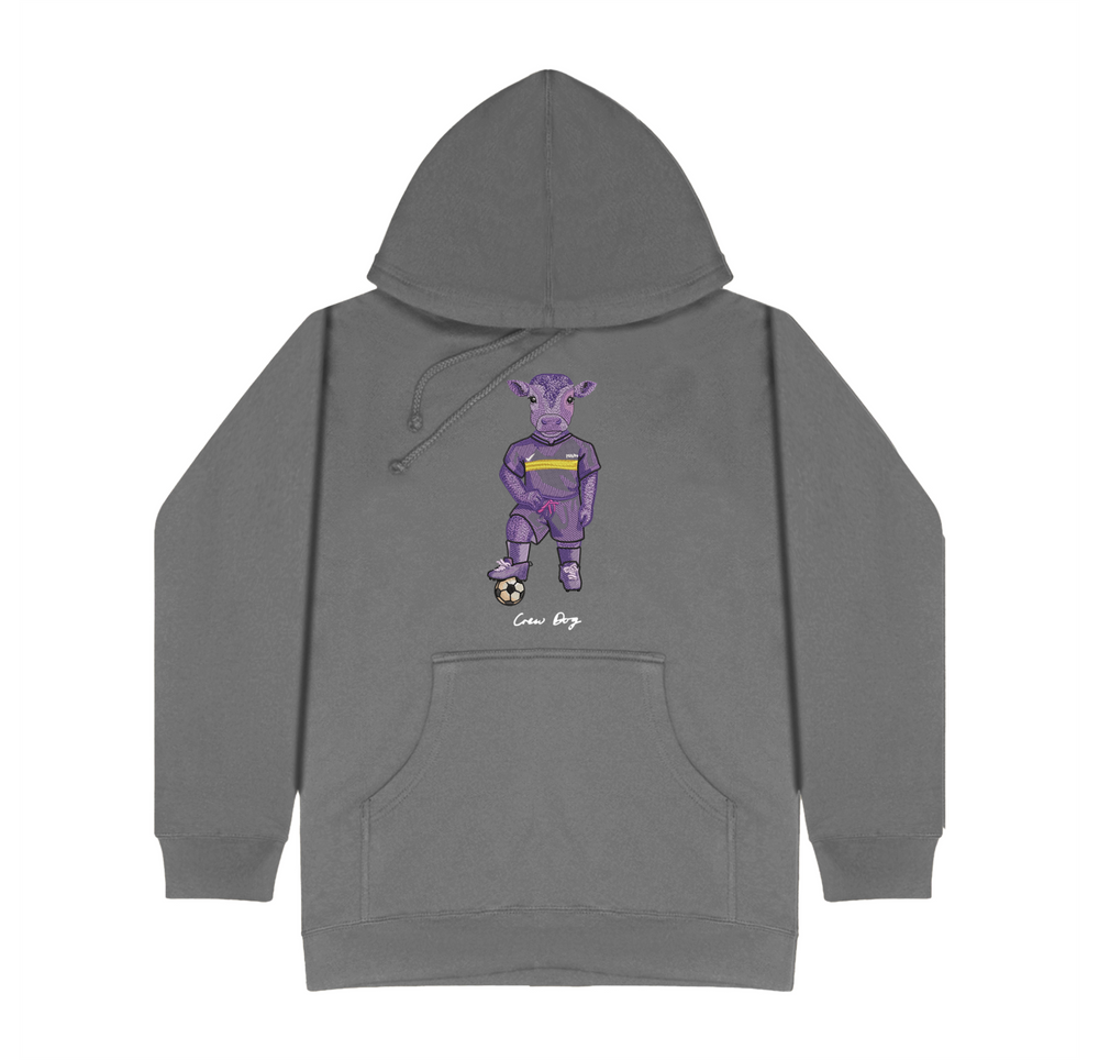 Williams Men's Soccer Embroidered Hoodie