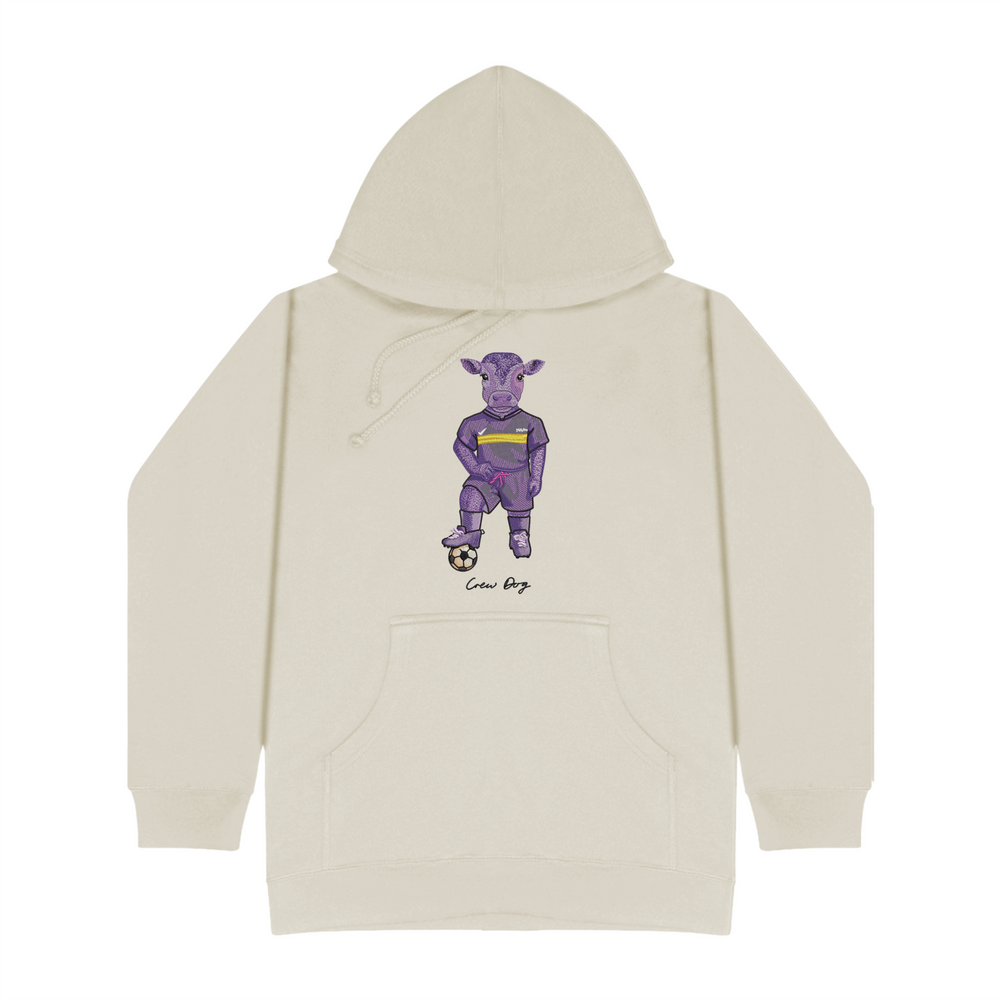 
                      
                        Williams Men's Soccer Embroidered Hoodie
                      
                    