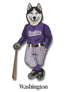 WashingtonBaseball Logo